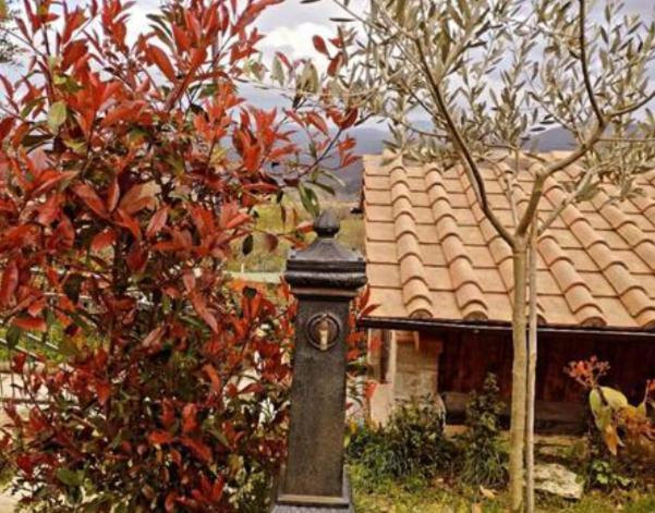 Il Podere Di Massi Барберино-ді-Муджелло Екстер'єр фото