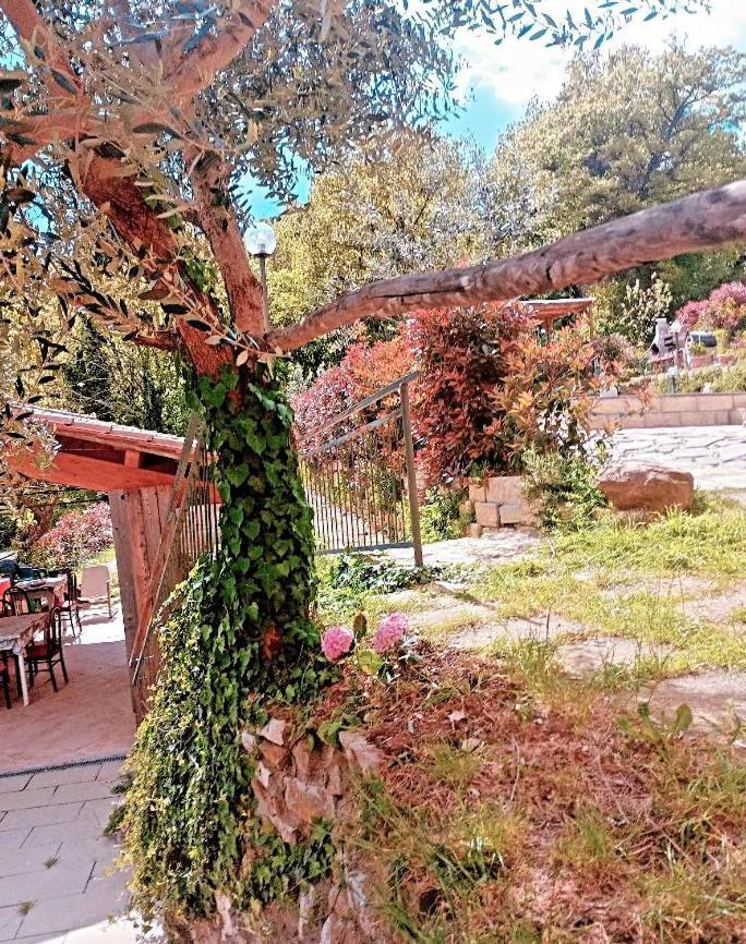 Il Podere Di Massi Барберино-ді-Муджелло Екстер'єр фото
