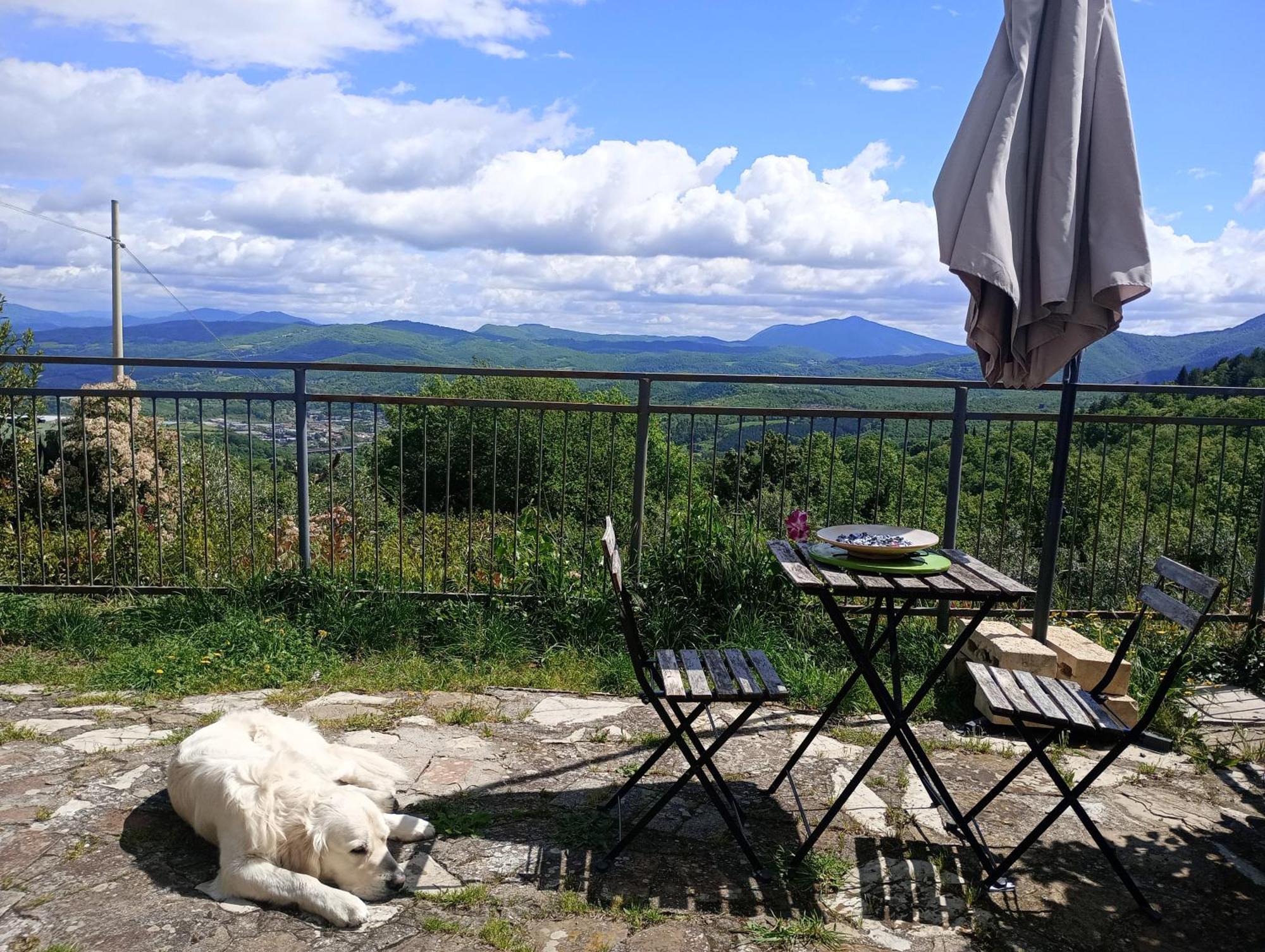 Il Podere Di Massi Барберино-ді-Муджелло Екстер'єр фото